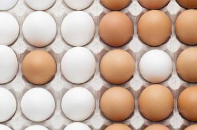 Подготовка к Пасхе: как быстро проверить яйца на пригодность