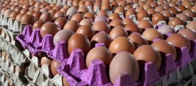 Гинзбург развеял популярный миф о вреде яиц для здоровья