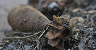 В калининградском СНТ нашли три осколочные гранаты