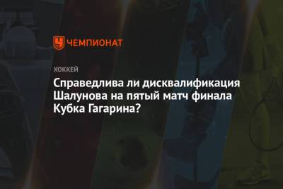 Справедлива ли дисквалификация Шалунова на пятый матч финала Кубка Гагарина?