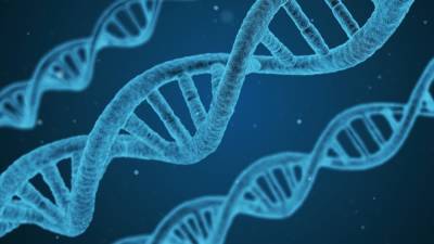 Ученые выяснили, что раковые клетки воспроизводят ДНК в ускоренном режиме