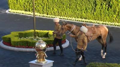 Новости на "России 24". В Туркменистане прошел конный марафон, посвященный Дню ахалтекинца