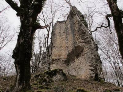 Житель Абхазии остался жив, упав с 30-метровой высоты