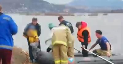 Троих детей спасли с дрейфующей льдины на Кубани — видео