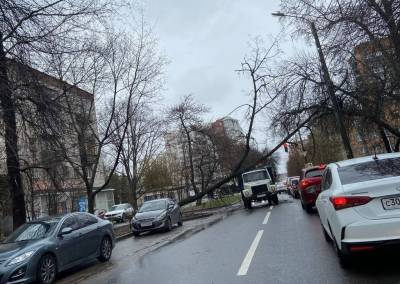 Дерево упало на грузовик в центре Нижнего Новгорода