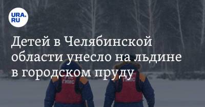 Детей в Челябинской области унесло на льдине в городском пруду. Видео