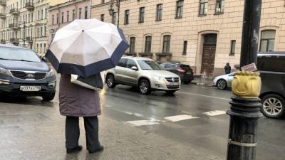 Мокрый снег и дожди ожидаются в Петербурге 26 апреля