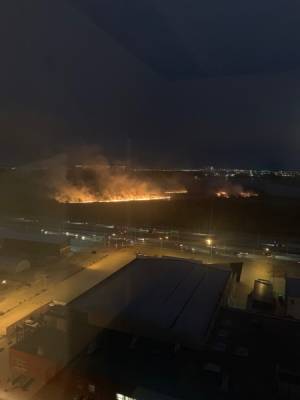 В Тюмени действует пять лесных пожаров и горит сухая трава в полях