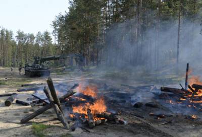 В Ленобласти военнослужащие ЗВО тренировались в тушении природных очагов возгорания
