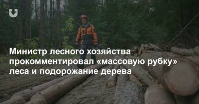 Министр лесного хозяйства прокомментировал «массовую рубку» леса и подорожание дерева