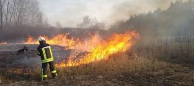 За сутки 9 пожаров: ГСЧС снова призвала украинцев не выжигать траву