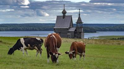 Сельский туризм узаконят в России уже в мае