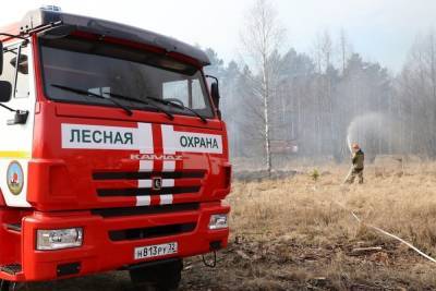 Больше 200 человек направили на тушение лесных пожаров в Забайкалье
