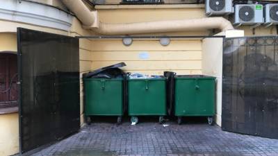 Выброс опасного мусора может обернуться штрафом в России