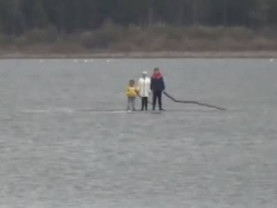 В Челябинской области спасли трех детей с дрейфующей льдины