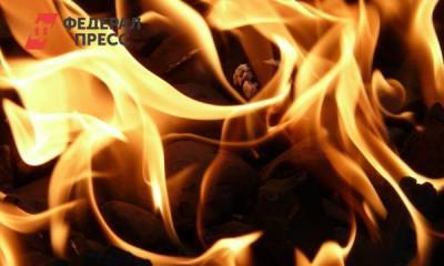 В Приморье за два дня потушили 35 лесных пожаров