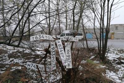 В Ярославле появилось дерево украшенное автомобильными номерами