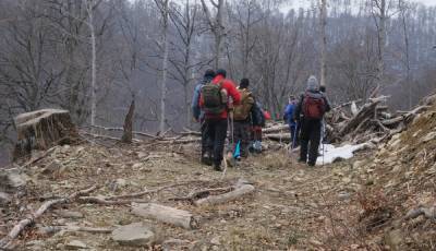 Спасатели в Карпатах возобновили поиски туриста из Киева, который исчез еще 13 февраля