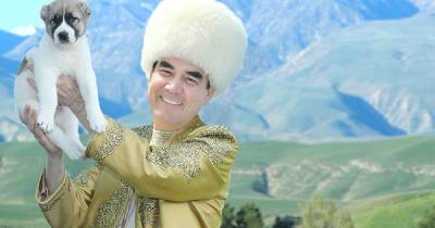 Национальное наследие: новый праздник в честь породы собак провели в Туркменистане