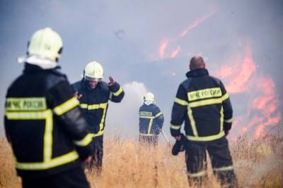 Более чем в 30 регионах ввели особый режим из-за природных пожаров