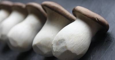 Частое потребление грибов снижает риск заболевания раком на 45% — врачи