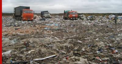В России приняли дорожные карты по созданию системы ответственности за утилизацию товаров