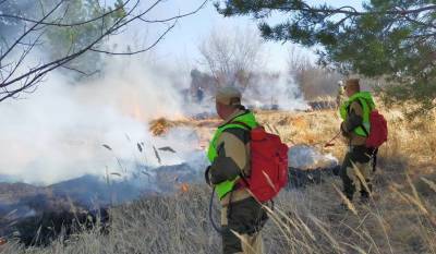 С начала сезона ульяновцы устроили 26 лесных пожаров