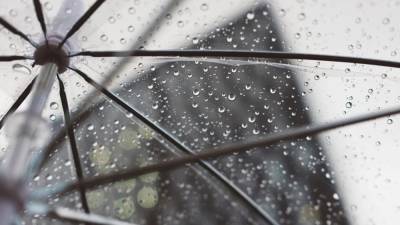 Жителей Москвы предупредили о небольшом дожде