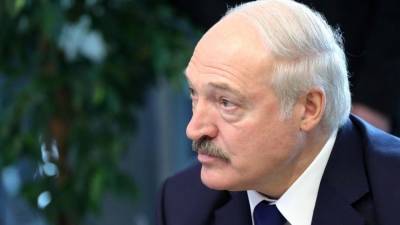 Фигуранты дела о подготовке покушения на Лукашенко признали вину