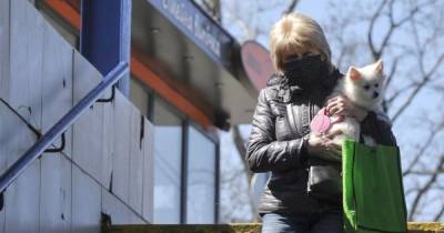Тернополь с 26 апреля ослабляет карантин: что будет разрешено