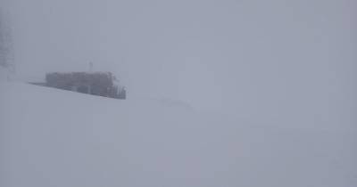 Карпаты засыпает снегом, в горах -5°С мороза и значительная опасность схода лавин: фото