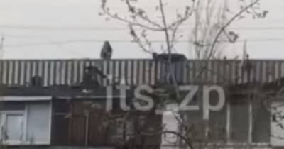 В Запорожье подростки устроили опасные игры на крыше многоэтажки (видео)