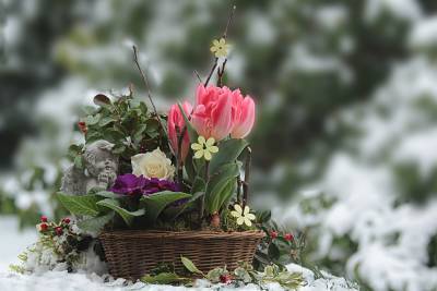 Дождь и мокрый снег ожидаются в Беларуси 25 апреля