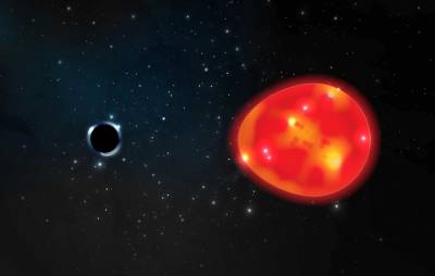 Астрономы отыскали кандидата в самую близкую к Земле черную дыру (фото)