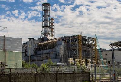 Животные-мутанты: Физик развенчал главный миф о последствиях аварии на Чернобыльской АЭС