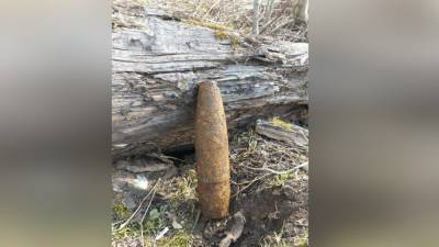 Семья дачников нашла на участке два снаряда времен ВОВ в Ленобласти