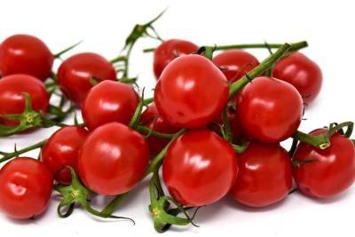 14 тонн африканских томатов не пропустили в Псковскую область