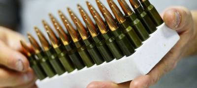 Мужчину в Карелии осудили за 8 "сувенирных" патронов