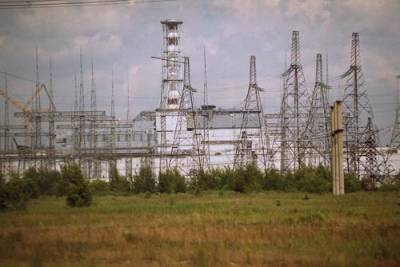 Физик Яценко развеял миф о животных-мутантах в Чернобыльской зоне отчуждения