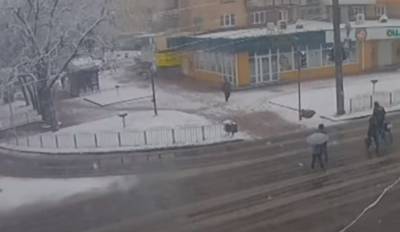 В Украине внезапно начались снегопады, метет как зимой: кадры непогоды