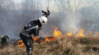 В Украине за неделю на пожарах погибли около 30 человек
