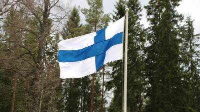 Объем торговли России и Финляндии сократился на 35% на фоне пандемии