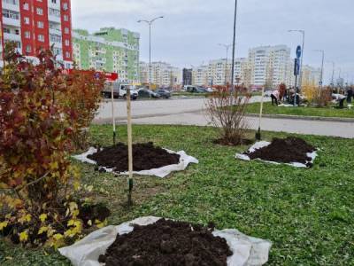 На Среднем Урале стартовало голосование за объекты благоустройства на 2022 год