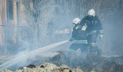 За минувшие сутки в Тюменской области произошло 9 лесных пожаров
