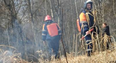 В Чехове провели учения по тушению природных пожаров