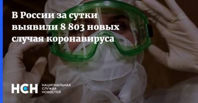 В России за сутки выявили 8 803 новых случая коронавируса