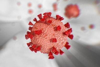 Общее число заболевших коронавирусом в Чувашии достигло 24 тысяч