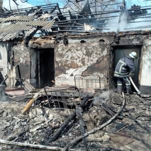 В Запорожской области сгорел жилой дом. Фото