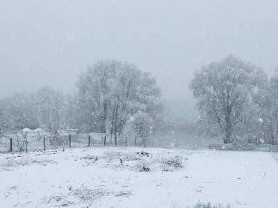 В конце апреля Украину засыпает снегом: фото, видео
