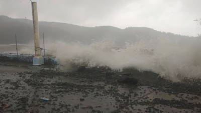 В Приморье синоптик рассказал об опасности тайфуна «Сурига»